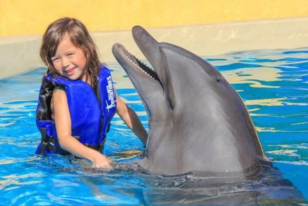 Dolphin Signature puerto vallarta