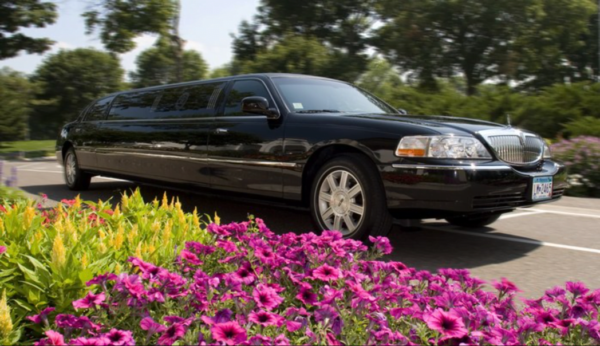 Limusine transportation puerto vallarta