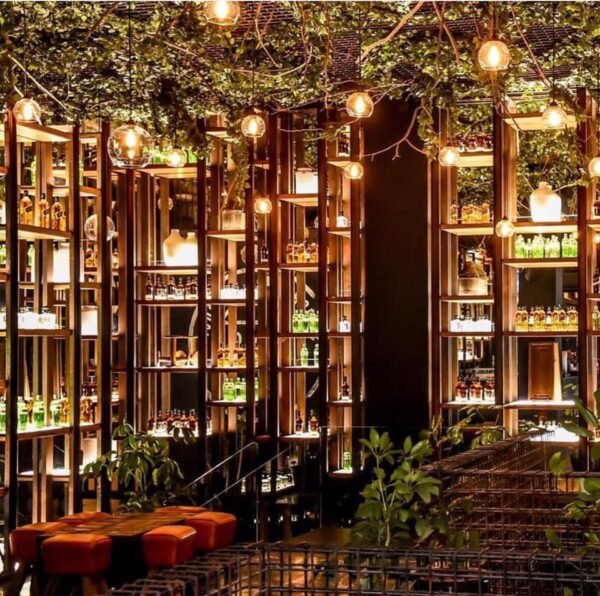 Night Club Services in Puerto Vallarta