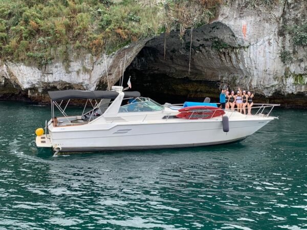 Yachts rental In Puertovallarta