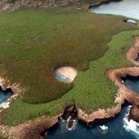 Yachts rental In Puertovallarta