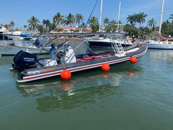 Yacht Rental Services in Puerto 8-Vallarta