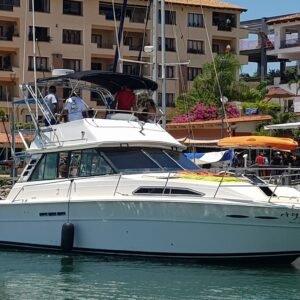 Luxury Yachts