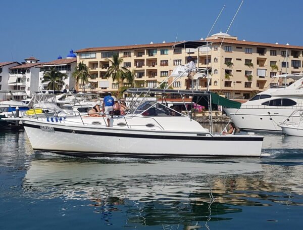 Luxury Yachts