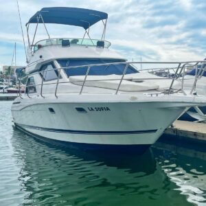 Yacht Rental Services in Puerto 8-Vallarta