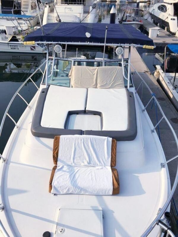 Yatecito Hipocampo 36ft - Image 13