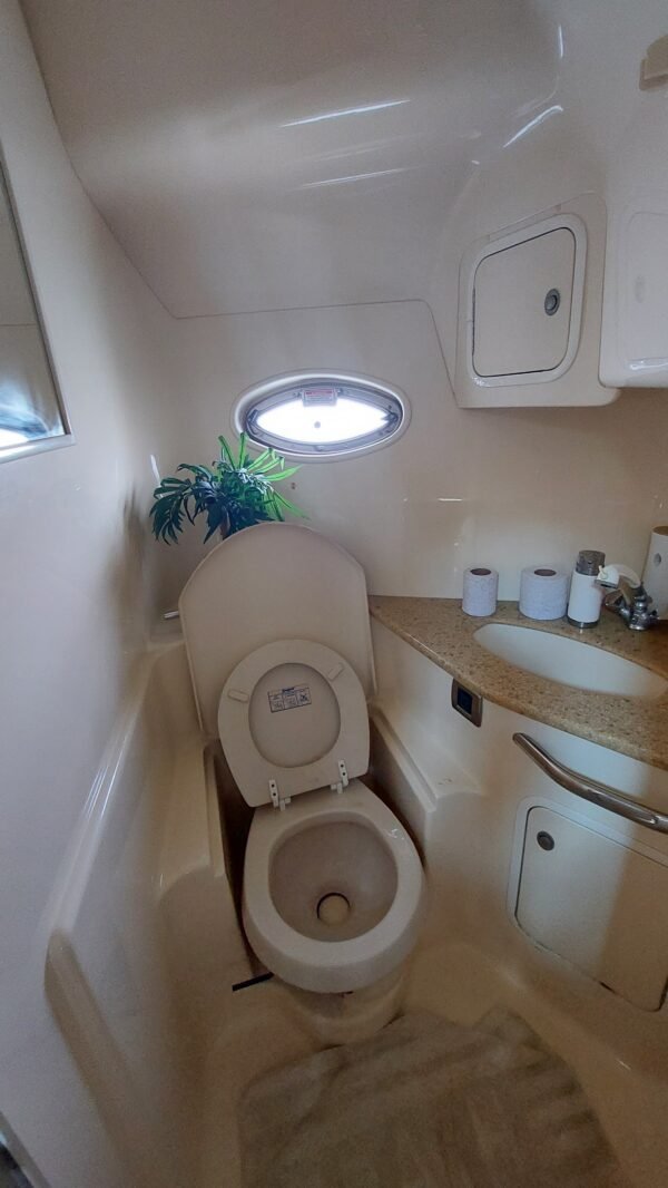Luxury Yachts