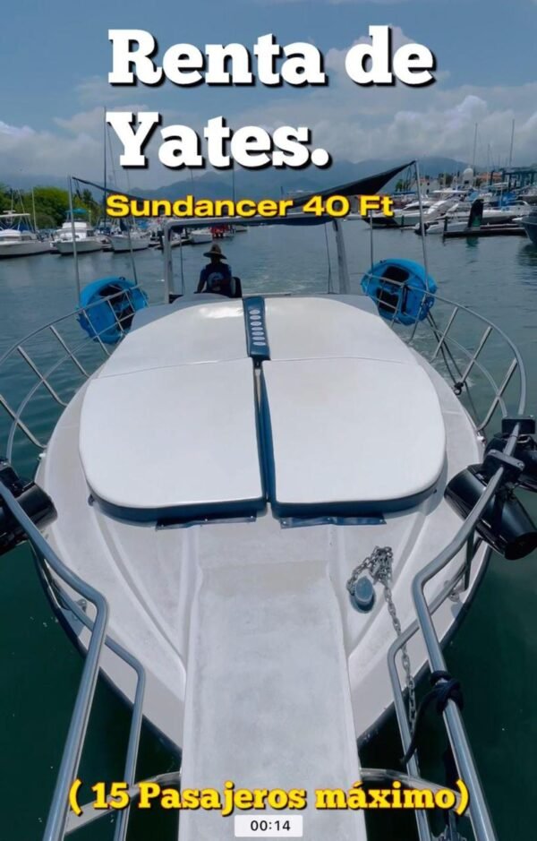 Sundancer 40 pies - Image 4