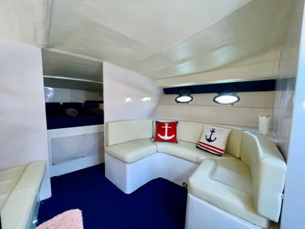 Sundancer 40 pies - Image 9