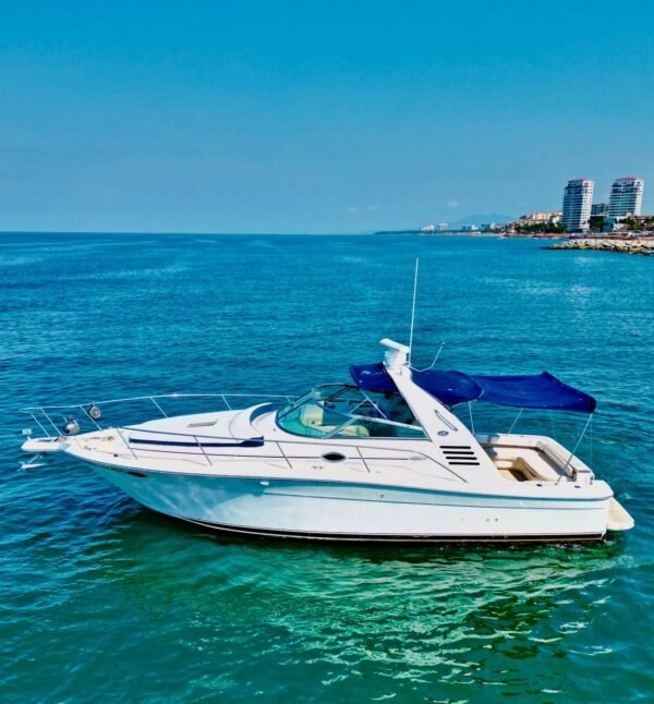 Sea Ray 40 pies