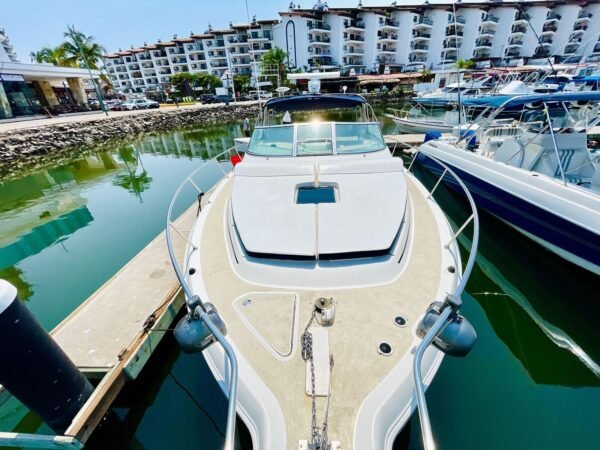 Sea Ray 40 pies - Image 3